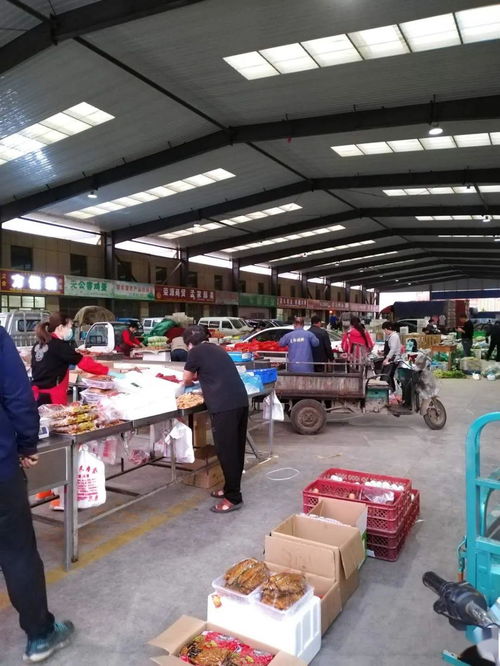 中貿(mào)農(nóng)產(chǎn)品綜合批發(fā)市場 從基地到市場，蔬菜區(qū)一站式采購與每日參考價(jià)解析